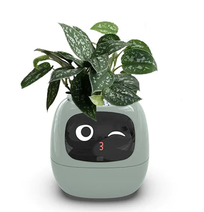 HOT!!! Trending products