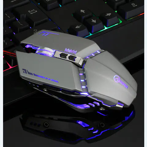 Computer Accessories